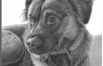 Capturing Love on Paper: The World of a Hyper-Realistic Pet Portrait Artist